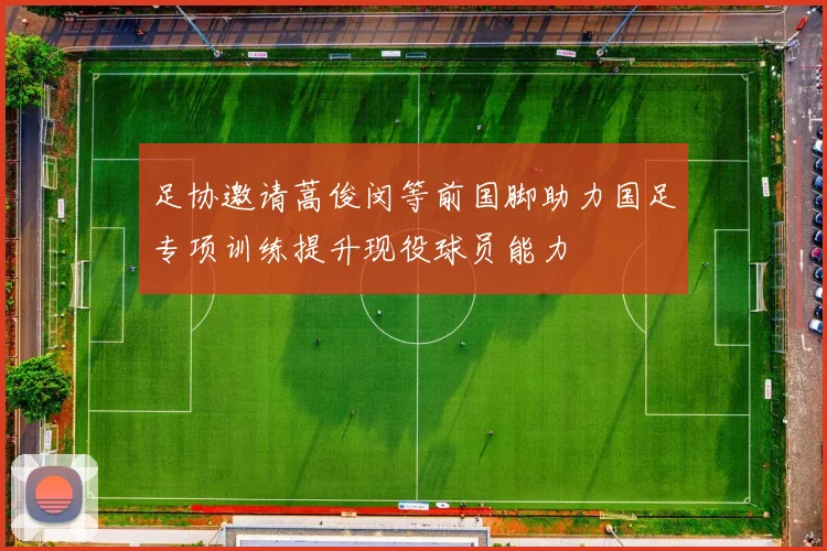 足协邀请蒿俊闵等前国脚助力国足专项训练提升现役球员能力