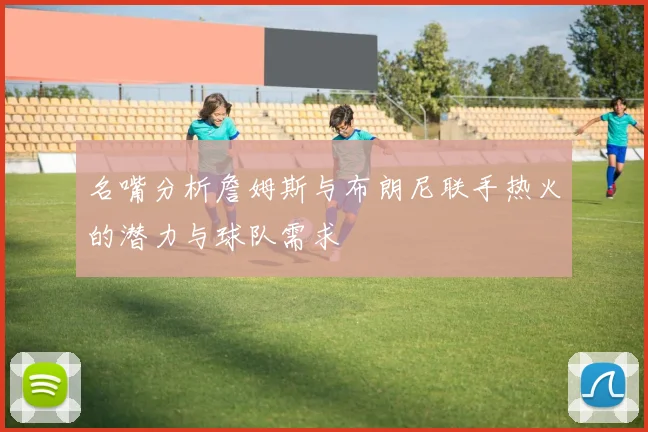 名嘴分析詹姆斯与布朗尼联手热火的潜力与球队需求